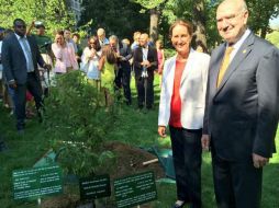 El secretario de Medio Ambiente y su homóloga francesa plantan un 'ciprés de Moctezuma' como un regalo de este país. NTX / ESPECIAL