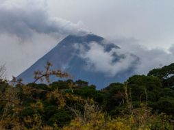 Las autoridades de Colima han permitido que se distribuyan entre los afectados los suministros de auxilio. NTX / N.. Gutiérrez