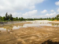 El lago se está terminando en un terreno de 2.5 hectáreas y podrá albergar tortugas, patos y aves migratorias. EL INFORMADOR / P. Franco