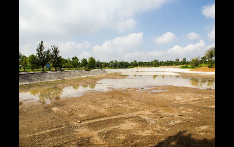 El lago se está terminando en un terreno de 2.5 hectáreas y podrá albergar tortugas, patos y aves migratorias. EL INFORMADOR / P. Franco