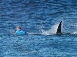 Las cámaras de televisión que cubrían el evento captaron el momento justo de la agresión del escualo. AFP / WSL