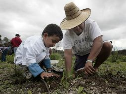 Buscan inspirar acciones que propicien el desarrollo rural sustentable en dueños de áreas forestales. EL INFORMADOR / ARCHIVO