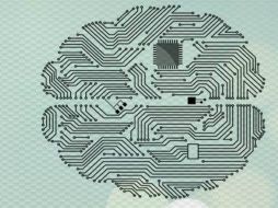 Este parentezco se logra a través de un modelo matemático que captura la dinámica electroquímica de las neuronas que elige Moctezuma. TWITTER / @ConacytPrensa