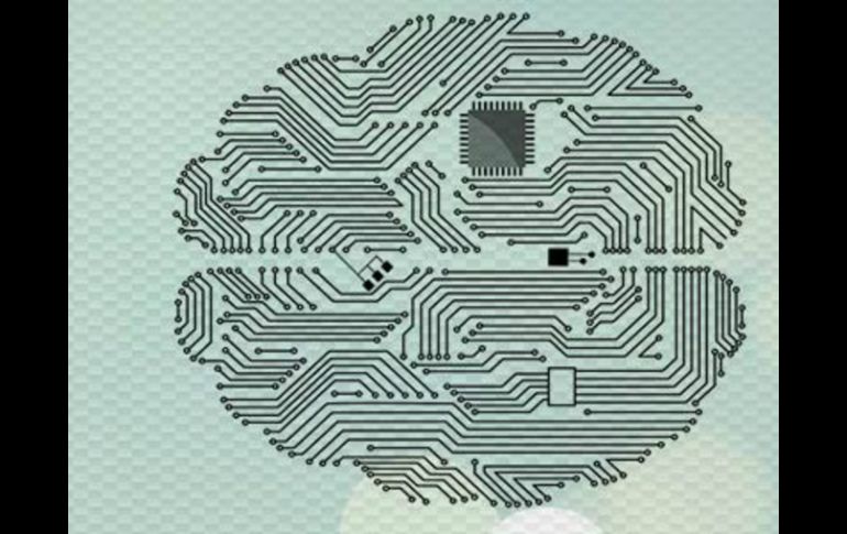 Este parentezco se logra a través de un modelo matemático que captura la dinámica electroquímica de las neuronas que elige Moctezuma. TWITTER / @ConacytPrensa