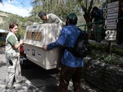 Las aves fueron trasladadas a la Fundación Galo Plaza Lasso EFE / J. JÁCOME