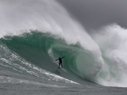 El número de ataques mortales de tiburones en aguas australianas aumenta a consecuencia de la práctica de deportes náuticos. EFE / ARCHIVO