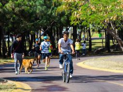 Corona Díaz, director del parque, asegura que se ha dado prioridad a la imágen ecológica del parque así como a la seguridad del mismo. EL INFORMADOR / ARCHIVO