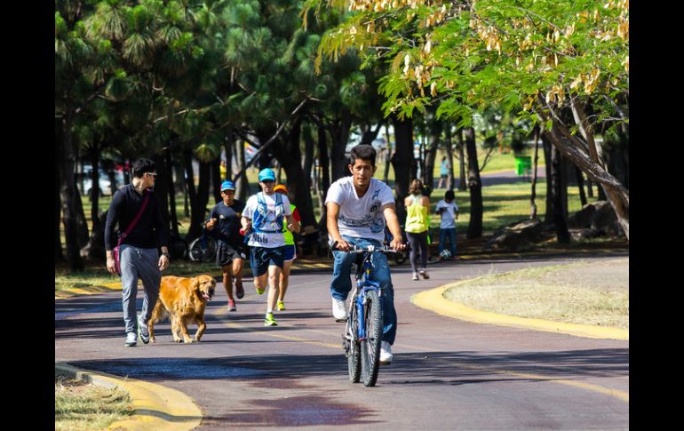 Corona Díaz, director del parque, asegura que se ha dado prioridad a la imágen ecológica del parque así como a la seguridad del mismo. EL INFORMADOR / ARCHIVO