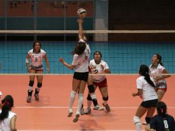 El voleibol es el tercer deporte más practicaod en Jalisco. EL INFORMADOR / ARCHIVO