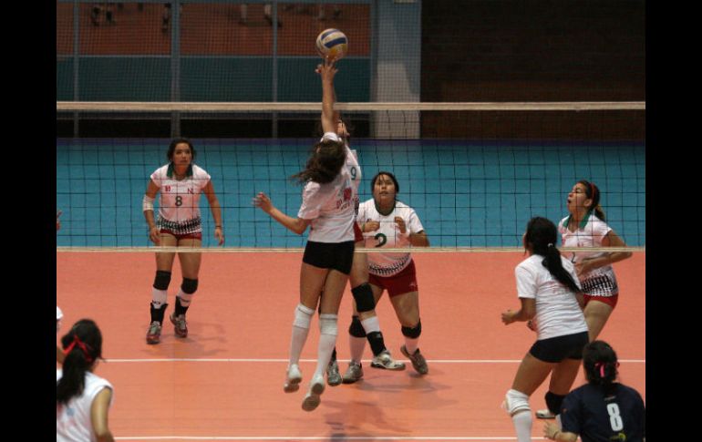 El voleibol es el tercer deporte más practicaod en Jalisco. EL INFORMADOR / ARCHIVO