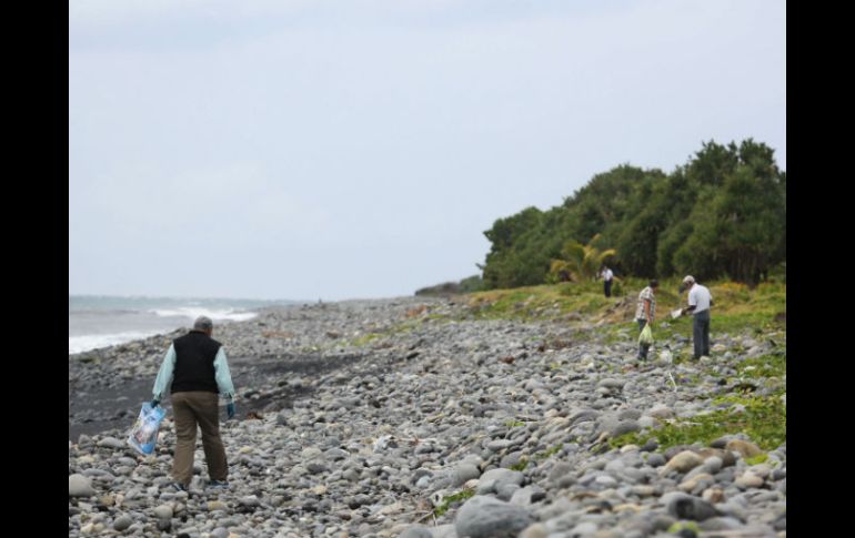 Una ventanilla y fragmentos de aluminio fueron encontrados este día en el litoral de la isla, días después del hallazgo del alerón. AFP / R. Bouhet