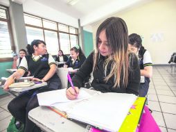 Resultados. A partir de lo detectado se comenzará a trabajar en las mejoras al sistema educativo. EL INFORMADOR /