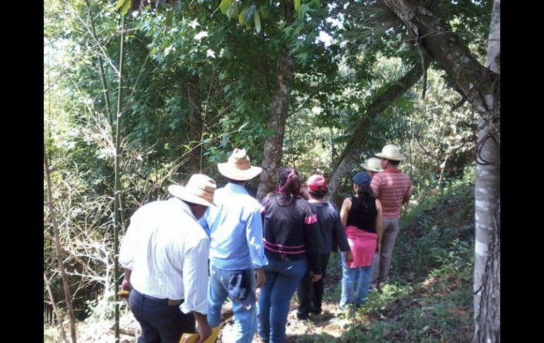 Alexer Vázquez, funcionario de la Conanp, asegura que es posible producir cultivos orgánicos sin afectar áreas naturales protegidas. FACEBOOK / Reserva de la Biosfera La Sepultura