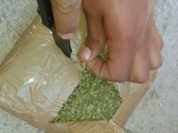 La mariguana se encuentra en 589 paquetes confeccionados con cinta canela. NTX / ARCHIVO