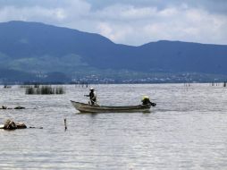 El cuerpo acuífero ha recuperado un total de 807 millones de metros cúbicos de agua. EL INFORMADOR / ARCHIVO