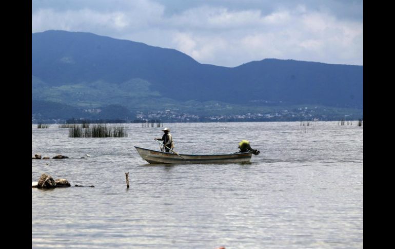 El cuerpo acuífero ha recuperado un total de 807 millones de metros cúbicos de agua. EL INFORMADOR / ARCHIVO