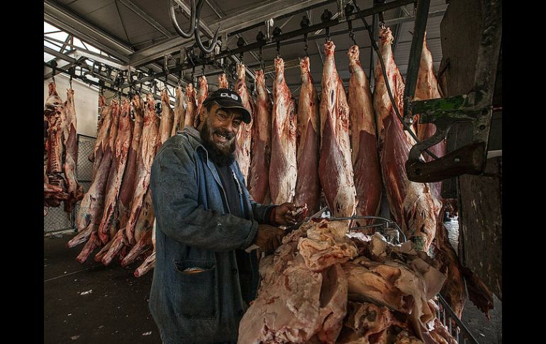 Nuevos centros de matanza tendrían capacidad para sacrificar hasta 400 cerdos por turno. EL INFORMADOR / ARCHIVO