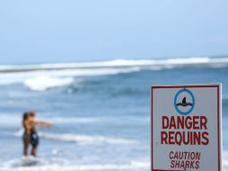 Este verano se han reportado al menos 11 personas atacadas por tiburones mientras nadaban en las playas de las Carolinas. AFP / ARCHIVO