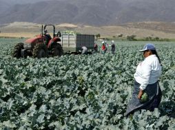 Se espera que esta misma noche salgan los primeros camiones con los agraviados para retornar a sus hogares en Veracruz e Hidalgo. EL INFORMADOR / ARCHIVO