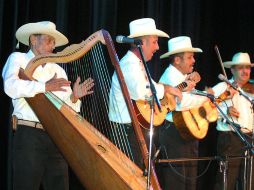 El instrumento actual es una mezcla de arpas mexicanas y de otras latitudes del mundo, además de que hay un gran arraigo a sus sonidos. EL INFORMADOR / ARCHIVO