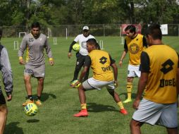 Los Leones Negros visitan a Dorados este martes en punto de las 21:00 horas, tiempo del centro de México. EL INFORMADOR / ARCHIVO