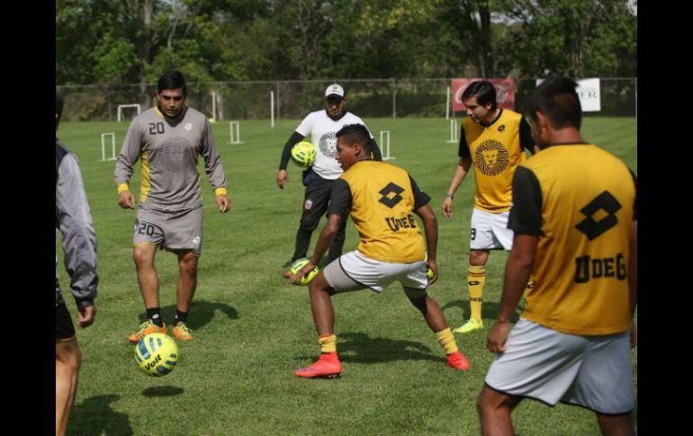 Los Leones Negros visitan a Dorados este martes en punto de las 21:00 horas, tiempo del centro de México. EL INFORMADOR / ARCHIVO