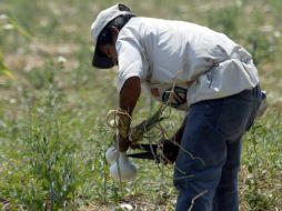 Los campesinos serán llevados de vuelta a sus hogares en Hidalgo y Veracruz, escoltados por la Policía Estatal. EL INFORMADOR / ARCHIVO