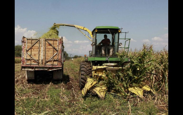 Se invita a los campesinos a aprovechar la explotación del suelo y subsuelo mexicano para permitir un avance en el país. EL INFORMADOR / ARCHIVO