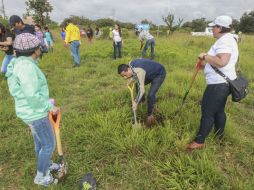 Los árboles plantados pertenecen a las especies rosas moradas, jacarandas, tabachín, primavera amarilla y guamúchil. EL INFORMADOR / ARCHIVO