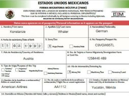 Los extranjeros podrán llenar su FMM vía electrónica, expedida por el Instituto Nacional de Migración. ESPECIAL /  www.gob.mx