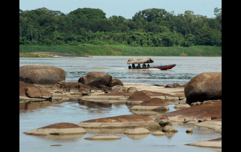 El año pasado el mundo perdió unos 18 millones de hectáreas de bosques, más de la mitad en los trópicos, según WRI. EFE / ARCHIVO