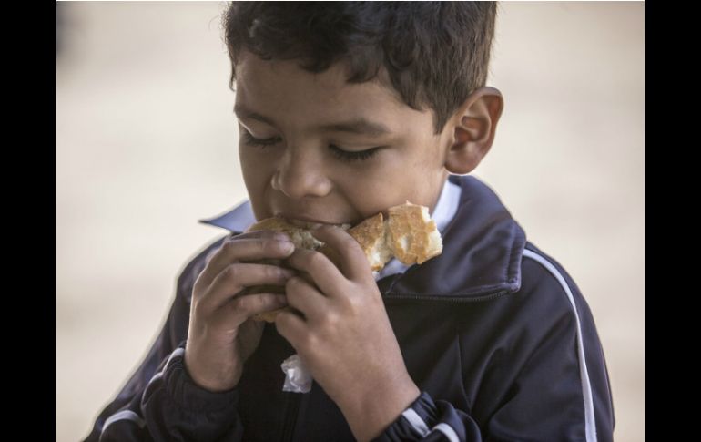 Consumir alimentos chatarra no es nutrirse. EL INFORMADOR / ARCHIVO