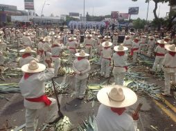 Como parte del Encuentro Internacional del Mariachi, se reunió el mayor número de jimadores de agave en la historia. FACEBOOK / Encuentro Internacional Del Mariachi Y La Cha