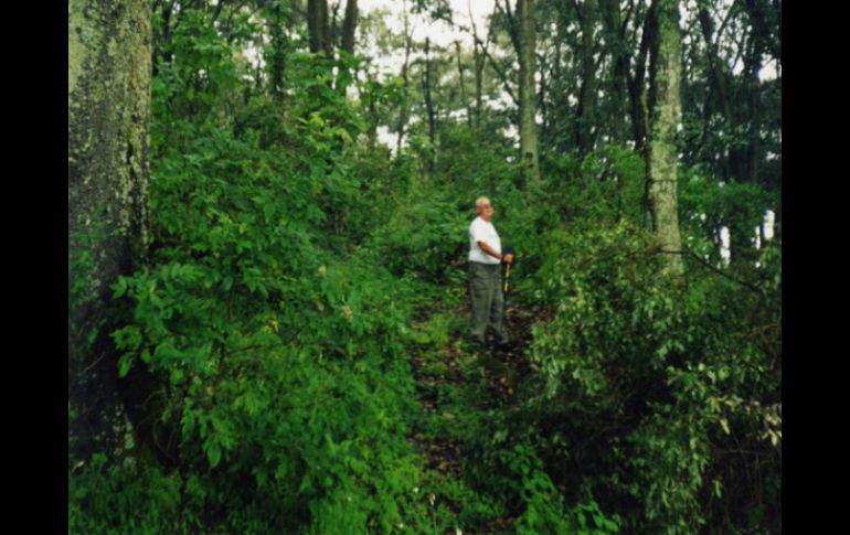 La FAO discute sobre la importancia de los bosques y el agua para abordar problemas como el hambre, la pobreza o el cambio climático. EL INFORMADOR / ARCHIVO