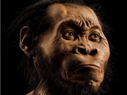 El Homo Naledi ya ha despertado polémica. AFP / M. Thiessen