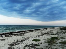 Piden avances del proyecto Destinos Turísticos Inteligentes, que se implementará en Cozumel, Quintana Roo. NTX / ARCHIVO