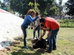 Ayer hubo plantación de ejemplares en el Parque Hundido en Guadalajara. EL INFORMADOR / A. Hinojosa