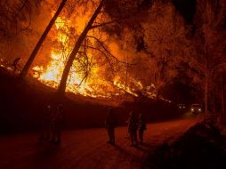 Este año se han gastado mil 230 millones de dólares para combatir los incendios, y se han movilizado unos 30 mil bomberos. AFP / J.  Edelson