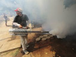 En esa misma semana se registran 15 casos del virus de chikungunya, con lo que se llega a un total de 62 contagios. AFP / ARCHIVO