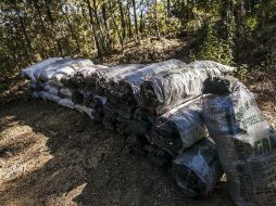 En uno de los lugares se encontraron 75 costales que contenían un total de 1.5 toneladas de carbón de encino. EL INFORMADOR / ARCHIVO