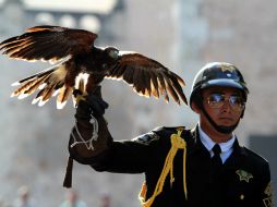 En el desfile participan 12 mil 442 integrantes del Ejército, Fuerza Aérea, Armada y Policía Federal, 331 vehículos y 266 animales. NTX / H. Borges