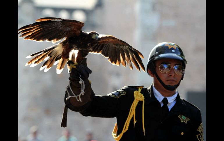 En el desfile participan 12 mil 442 integrantes del Ejército, Fuerza Aérea, Armada y Policía Federal, 331 vehículos y 266 animales. NTX / H. Borges