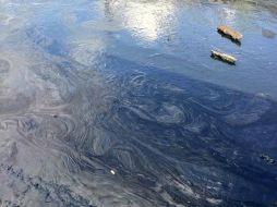 El incendio causó una afectación ambiental inicial de 80 metros cuadrados de suelo natural. TWITTER /