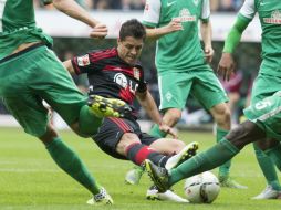 'Chicharito' pelea por la pelota contra jugadores del Werder Bremen. AP / J. Sarbach