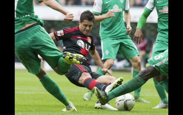 'Chicharito' pelea por la pelota contra jugadores del Werder Bremen. AP / J. Sarbach