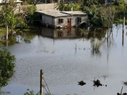 El municipio de Tlalixcoyan fue el más afectado por la inundación en varios puntos de la localidad. NTX / ARCHIVO