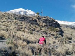 Contemplan visión de Cambio Climático y conservación. NTX / ARCHIVO