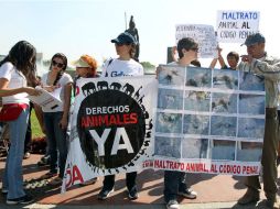 La sociedad ha presionado al Gobierno para que el maltrato animal sea tipificado como delito. EL INFORMADOR / ARCHIVO