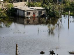 Las intensas lluvias ocasionadas por el huracán ''Marty'' han dejado unas 800 viviendas afectadas. NTX / ARCHIVO