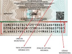 Contiene grabado en alto y bajo relieve horizontal, de acuerdo a estándares internacionales para identificaciones oficiales. NTX / ESPECIAL